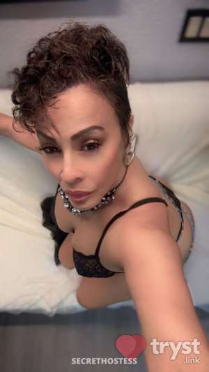 Mz Sasha of Chicago - Early Bird Special in Chicago IL