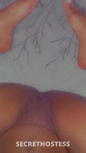 24 year old Escort in Space Coast FL OUTCALLS and INCALLS