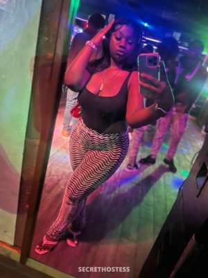 Tinka bell in Tallahassee FL