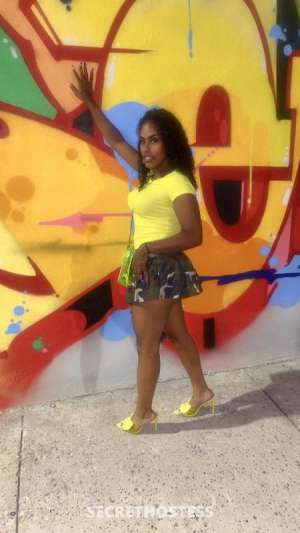 29 year old Escort in Dallas / Fort Worth TX An Ebony Muse for the Elite