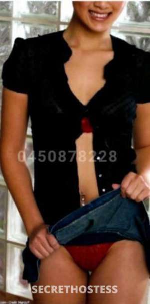 Playful Asian kitten (Amy 35 ), Broadbeach in Gold Coast