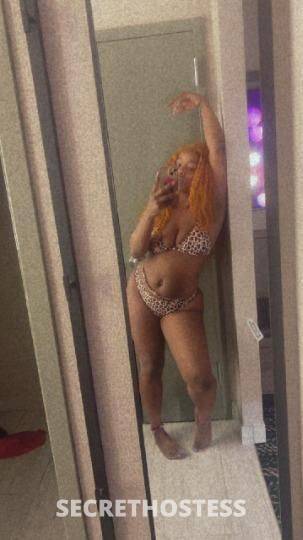 Prettykat 21Yrs Old Escort Killeen TX Image - 0