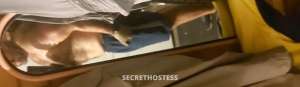 42 year old Escort in Bentley Perth Guy looking for blowjob from girl, will give rewa, Canington