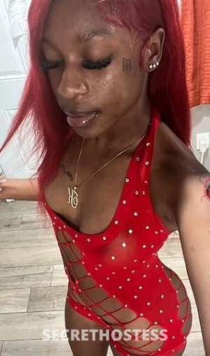 Dior 25Yrs Old Escort Wilmington NC Image - 2