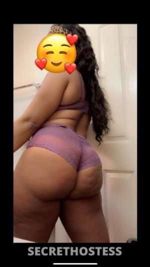 Tinks 26Yrs Old Escort Albany NY Image - 0