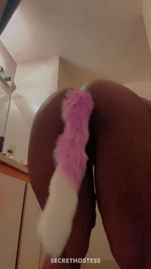 Prettykat 21Yrs Old Escort Killeen TX Image - 1