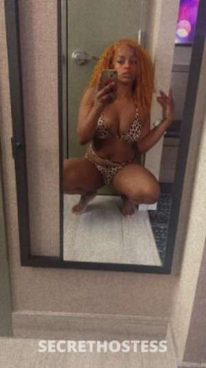 Prettykat 21Yrs Old Escort Killeen TX Image - 2