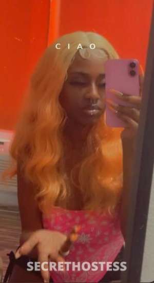 Amiri 21Yrs Old Escort Long Beach CA in Long Beach CA