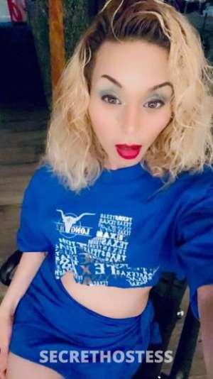 Gigi 27Yrs Old Escort Austin TX Image - 2