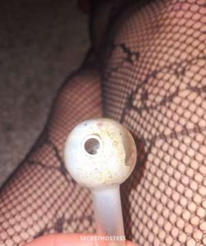 Gigi 27Yrs Old Escort Austin TX Image - 11