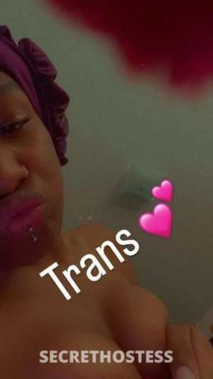 Sayanii 21Yrs Old Escort Columbus OH Image - 2