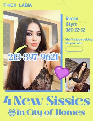4 kitties make you feel at hometown, you know howxxxx-xxx- in Harrisburg PA