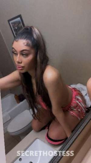 Diamond 20Yrs Old Escort Mendocino CA Image - 4