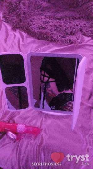 20Yrs Old Escort 159CM Tall Chicago IL Image - 14