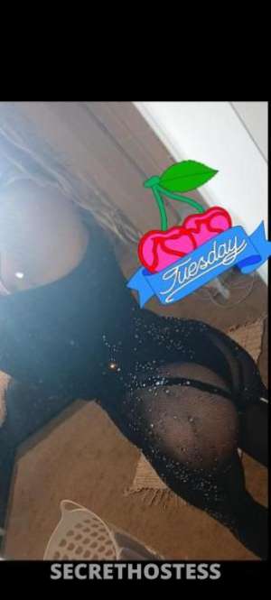 Available now. Premium beautiful escort, Hobart in Hobart
