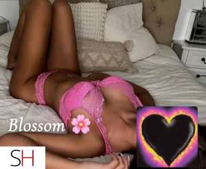 28 year old Caucasian Escort in City of Halifax Blossom Now Available for Outcall in HALIFAX