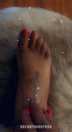29 year old Escort in Rochester NY I'm your new fave girl