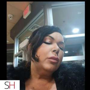 31Yrs Old Escort North York Image - 3