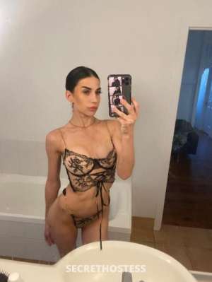 25Yrs Old Escort Gold Coast Image - 10