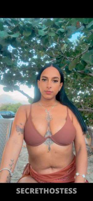 25 year old Hispanic Escort in Knoxville TN Hey Daddy Im Ready For you Pay cash Full Services