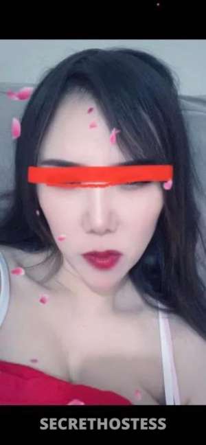 26 year old Chinese Escort in North Ward Townsville SEX SUCK FUCK PUSSY Private 100 Townsville