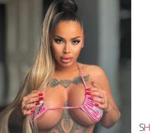 25 year old Latino Escort in Scotland South Lanarkshire , Independent