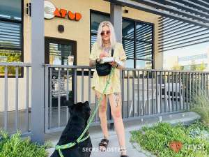 20Yrs Old Escort 169CM Tall Austin TX Image - 19