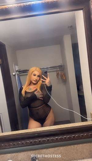 24 year old Escort in Holland MI sexy latin