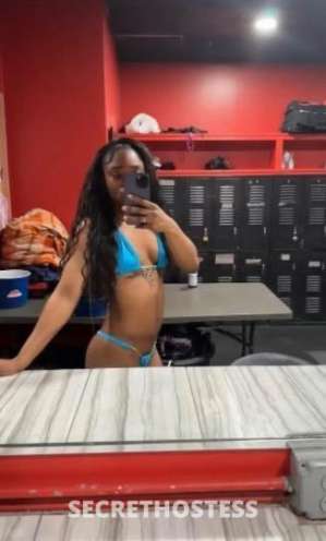 Ciara/cece 26Yrs Old Escort Cincinnati OH Image - 1