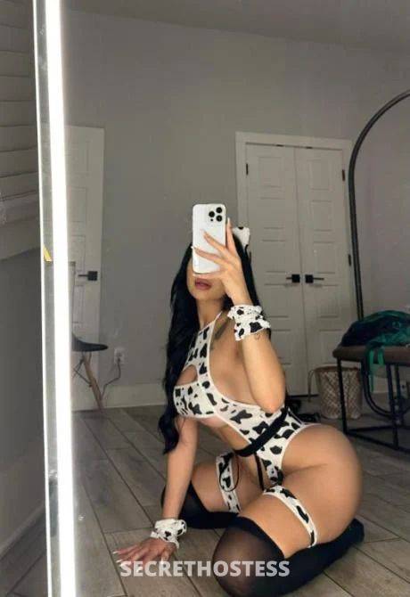 Alice 22Yrs Old Escort Size 10 Traralgon Image - 1