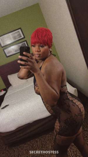 AfricanCinderella 27Yrs Old Escort Hattiesburg MS Image - 3