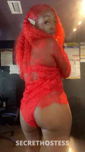 29 year old Escort in Tampa FL comeeee to me daddy for CAR PLAYYYYY ONLYYYY