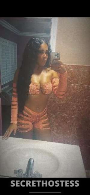 Brooklyn 24Yrs Old Escort Brooklyn NY Image - 3