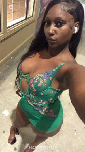 Diamond 21Yrs Old Escort Seattle WA Image - 2