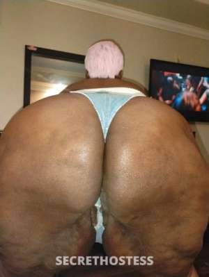 40 year old Escort in Houston TX TEXT ONLY QV $80 $KIM EBONY BBW QV INCALL ONLY PULL UP 