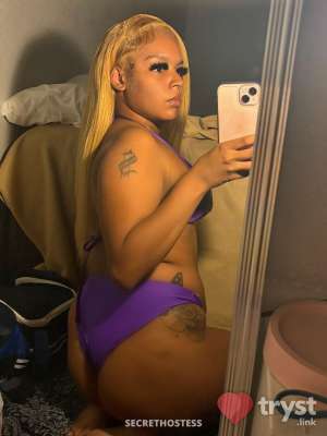 20Yrs Old Escort 160CM Tall Gastonia NC Image - 8