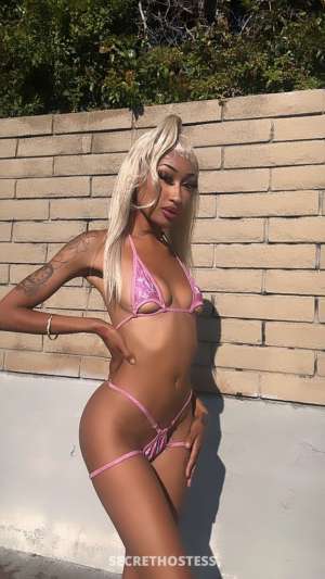 Pretty 22Yrs Old Escort Los Angeles CA Image - 6
