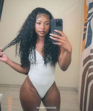Alyse 26Yrs Old Escort Tampa Bay Area FL Image - 1