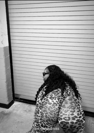 26Yrs Old Escort Detroit MI Image - 2