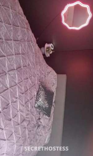 33Yrs Old Escort Size 10 Gosford Image - 2