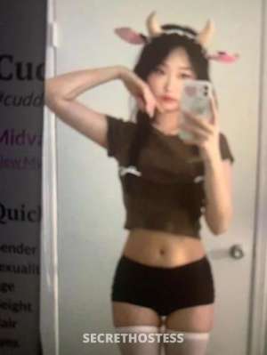 Kiki 23Yrs Old Escort Size 6 155CM Tall Albany Image - 3