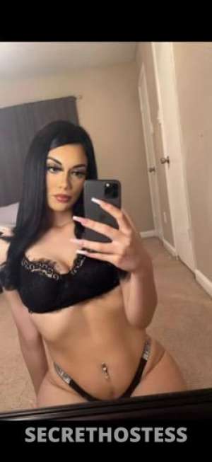 26Yrs Old Escort Dallas TX Image - 2