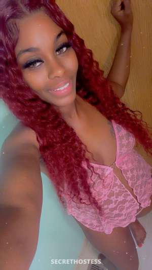 Ferrariee 28Yrs Old Escort Fargo ND Image - 4