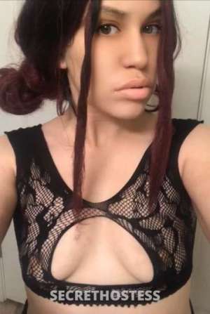 Luscious 28Yrs Old Escort Stockton CA Image - 5