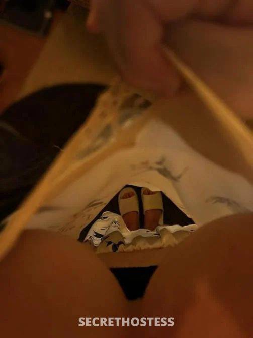 Dianna 27Yrs Old Escort Size 8 Albany Image - 0