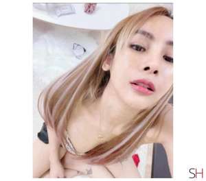 24 year old Escort in Lichfield Contact Ads As Normal, Independent