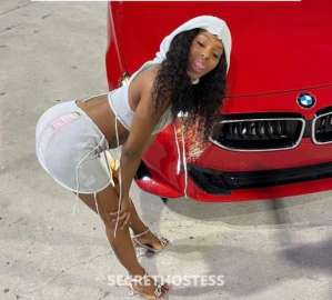 Star 24Yrs Old Escort Image - 5