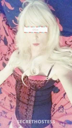 31Yrs Old Escort Image - 1
