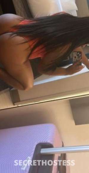 24Yrs Old Escort Tampa FL Image - 1