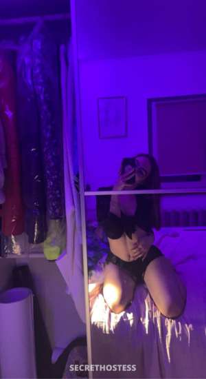Bethany 26Yrs Old Escort Wellington Image - 7